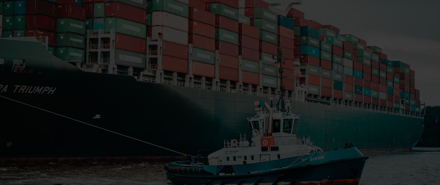 How We Have Avoided Disaster Supply Chain Disruptions This Year